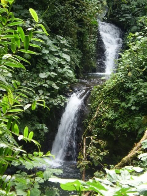 P7300108.jpg