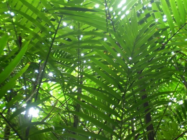 P7300142.jpg