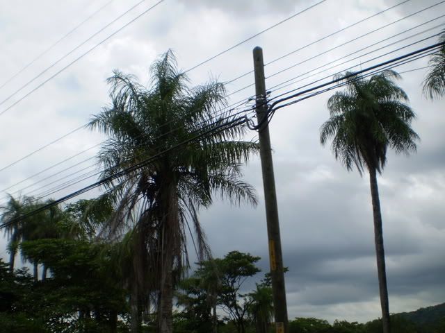 P7310171.jpg