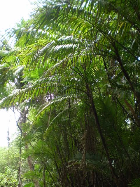 P8030002.jpg