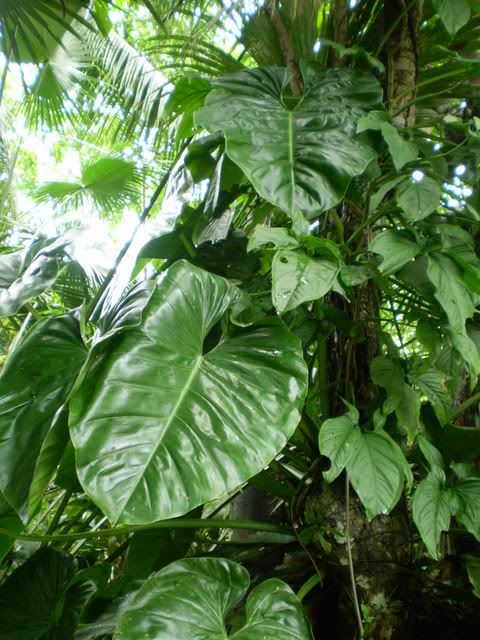 P8280005.jpg