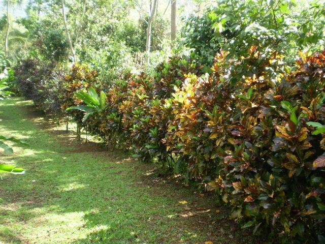 PC020024.jpg