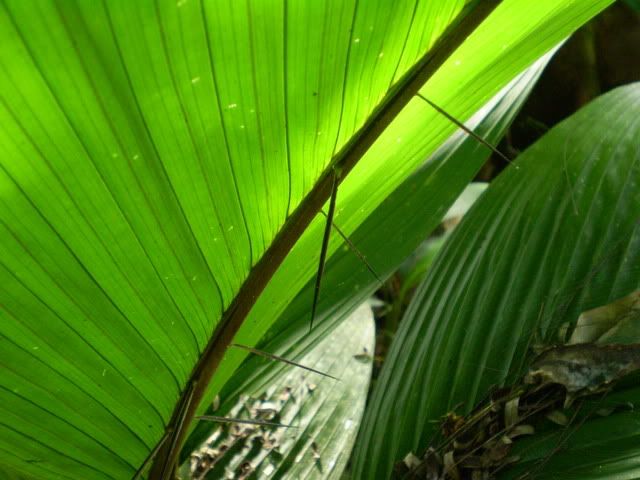 PC020031.jpg