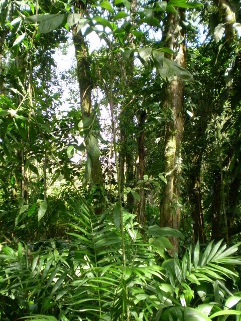 PC020049.jpg