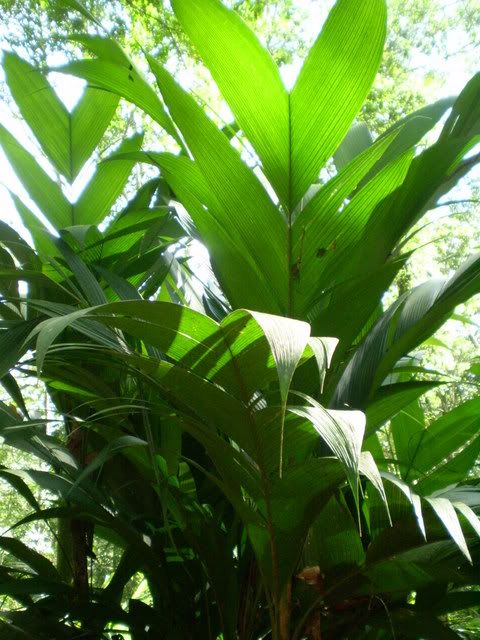 PC020065.jpg