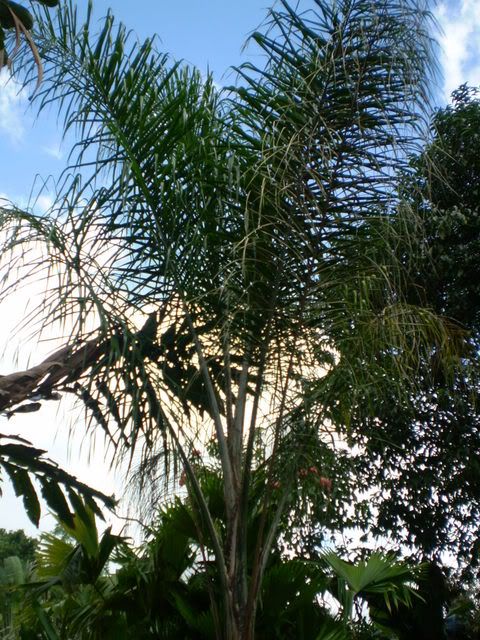 PC020157.jpg
