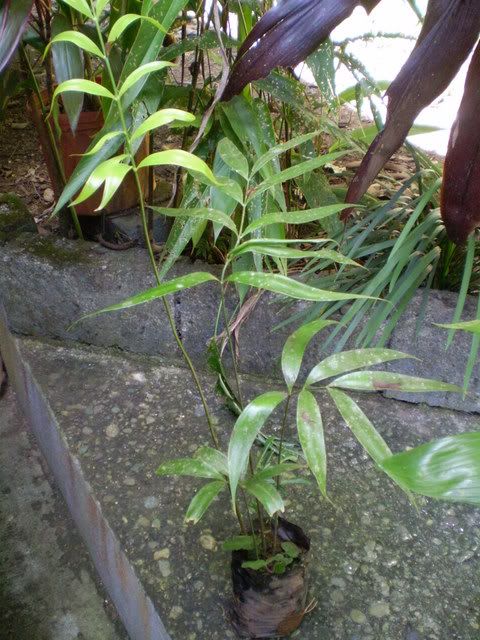 PC020186.jpg