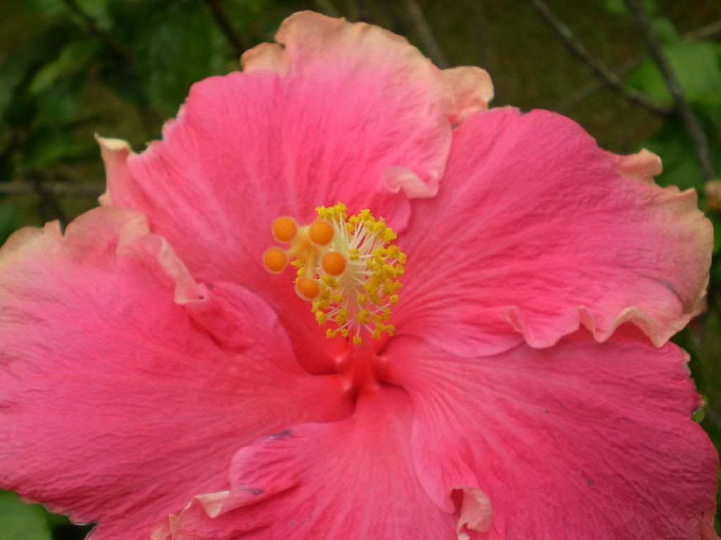 PC210110.jpg