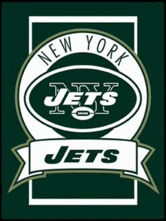 jets_logo.gif