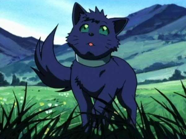 red anime wolf pup. Nina (her dog) appearance: