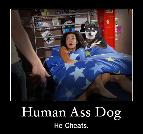 cheating dog
