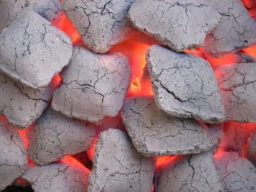 IMG_0520.jpg hot coals image by mhawko