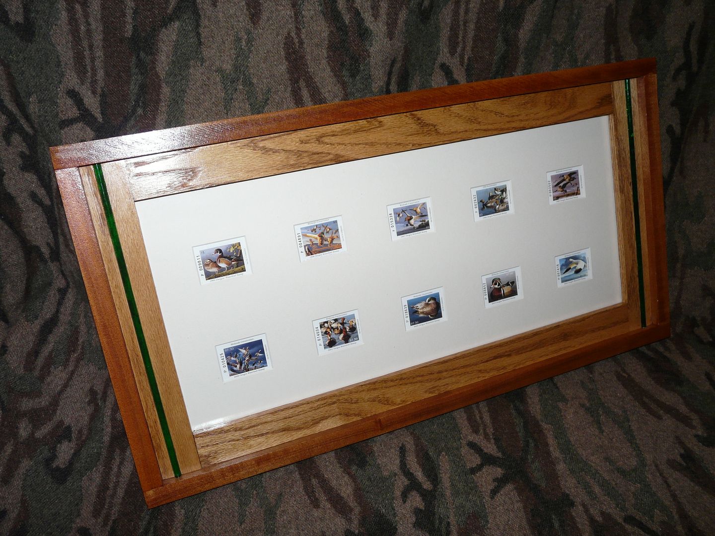 Displaying Duck Stamps