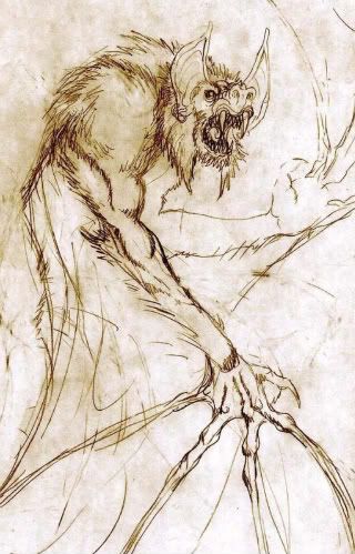 werebat_sketch.jpg