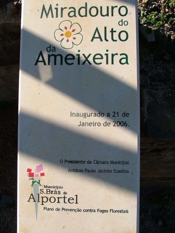 Placa