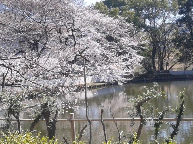 [Resim: DSC_0172_zps07b3b30e.jpg]