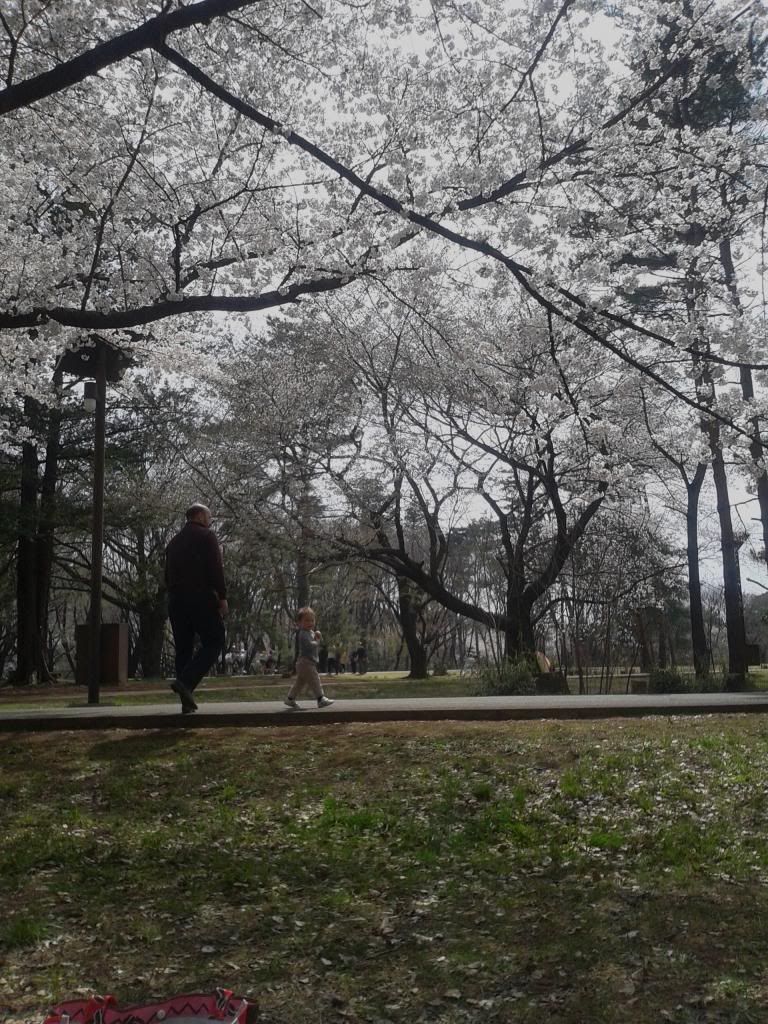 [Resim: DSC_0188_zps43f9237a.jpg]