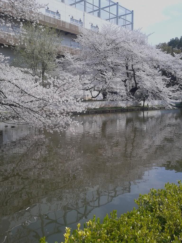 [Resim: DSC_0190_zps9c0de6f3.jpg]