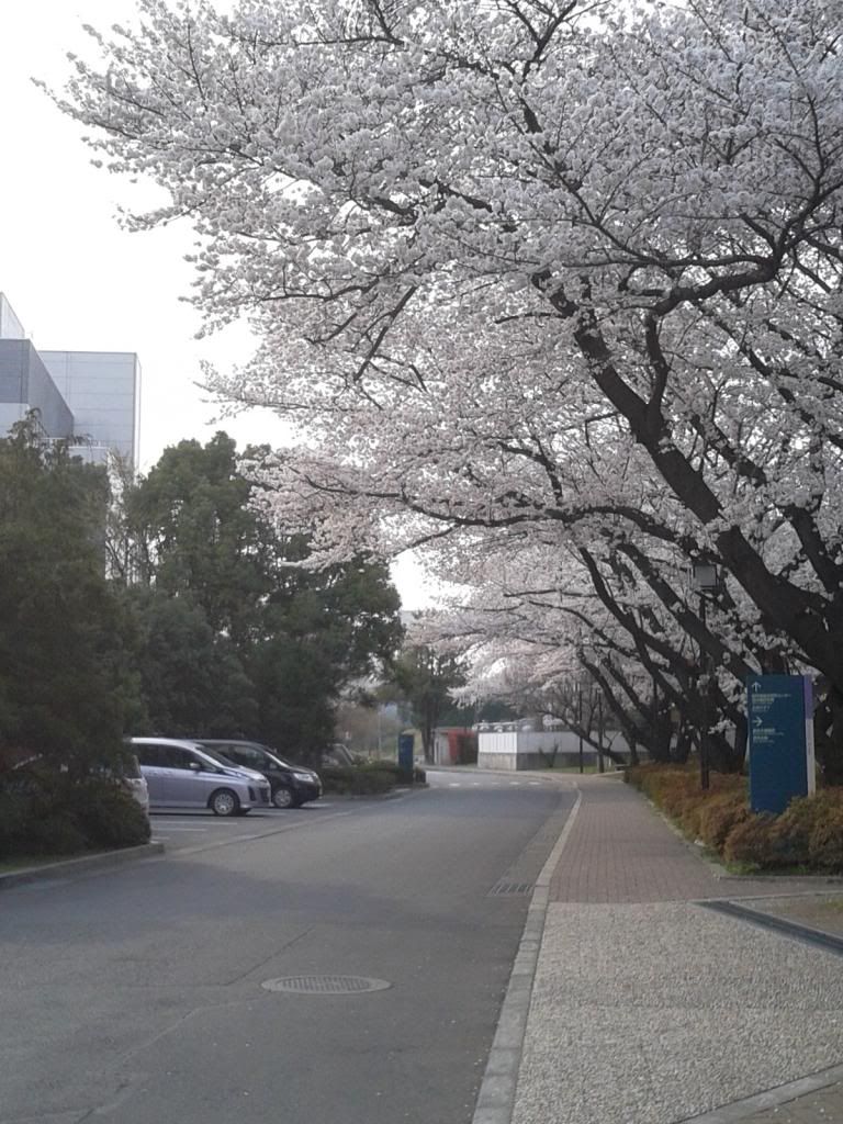 [Resim: DSC_0220_zpse01ce7de.jpg]