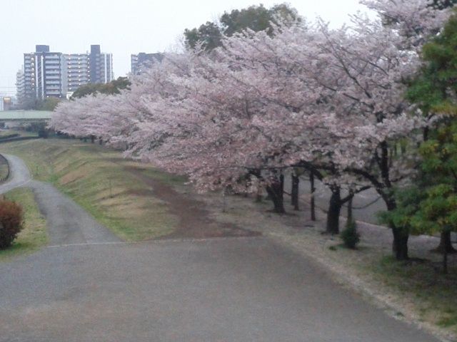 [Resim: DSC_0270_zps0e212f1c.jpg]