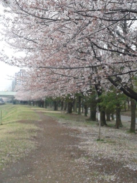 [Resim: DSC_0272_zps47371309.jpg]