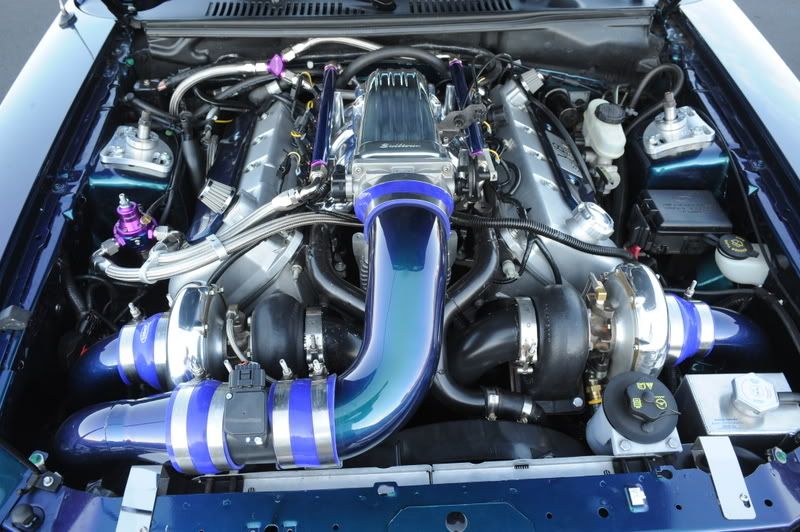 [Image: 3fd2a894.jpg]