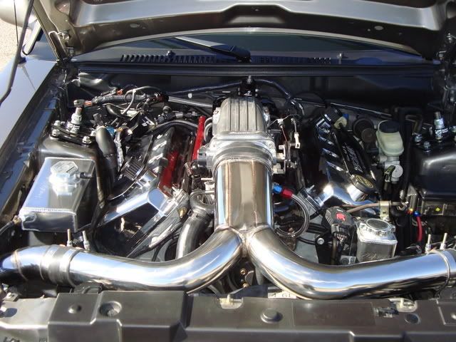 [Image: 77f1e2d4.jpg]