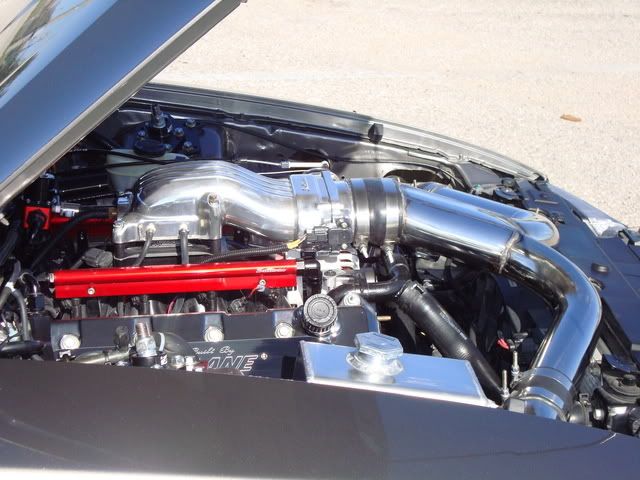 [Image: 8b6debf2.jpg]