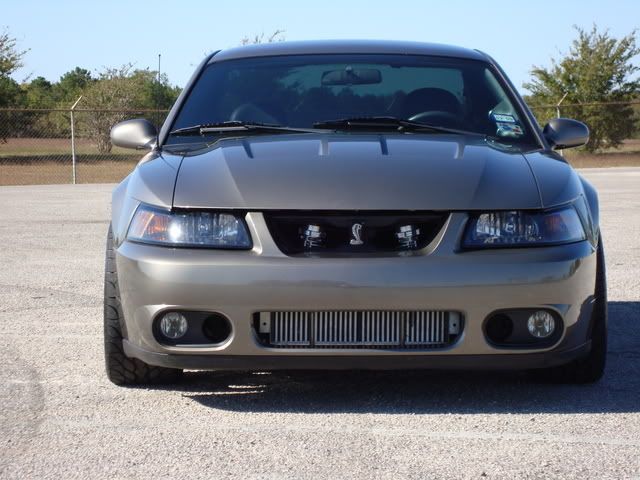 [Image: 96252d17.jpg]