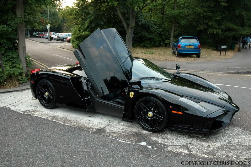 [Image: DSC_7603_resize.jpg]