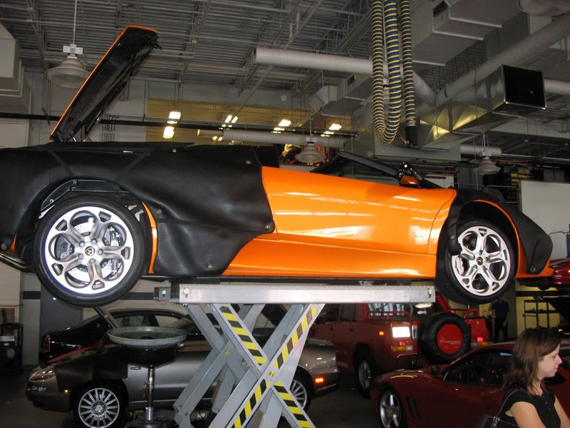 [Image: IMG_3764.jpg]