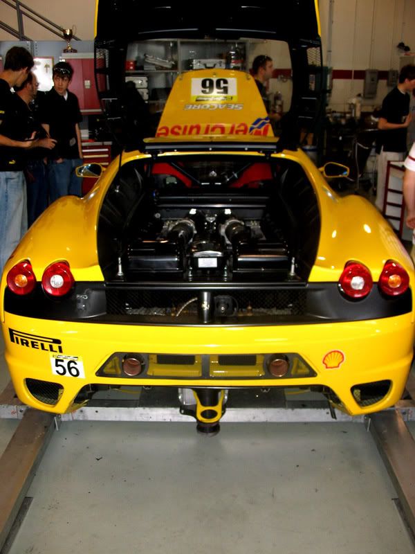 [Image: IMG_3772.jpg]