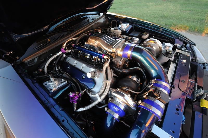 [Image: bec42124.jpg]