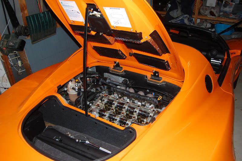 [Image: l1.jpg]