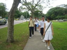 taking a leisurely stroll to buona vista mrt station