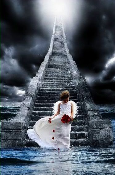 angel footsteps Pictures, Images and Photos