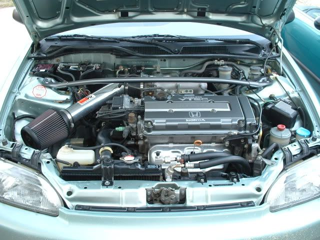 IMAGE: http://i47.photobucket.com/albums/f184/frizz1/Dscf0165.jpg