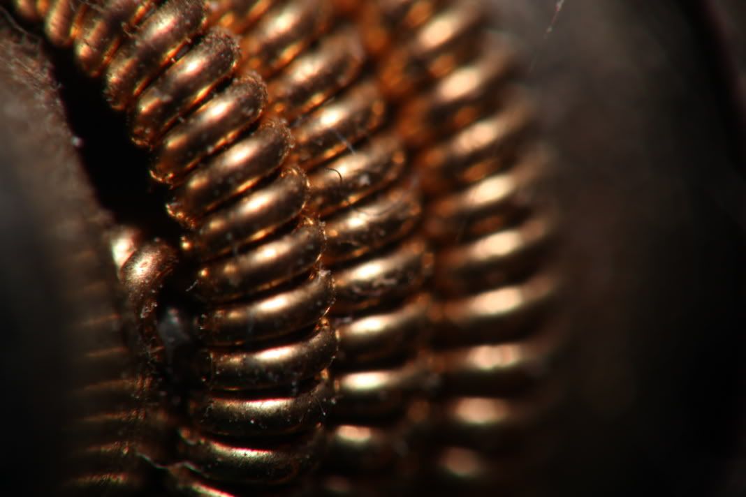 IMAGE: http://i47.photobucket.com/albums/f184/frizz1/IMG_1948.jpg