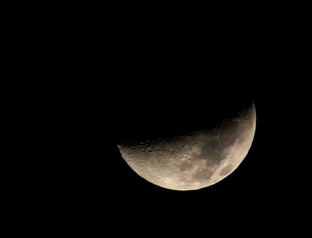 IMAGE: http://i47.photobucket.com/albums/f184/frizz1/IMG_2613_1.jpg