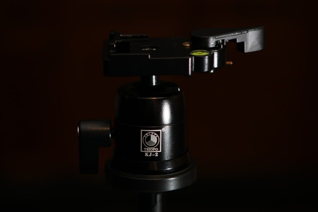 IMAGE: http://i47.photobucket.com/albums/f184/frizz1/IMG_8749.jpg