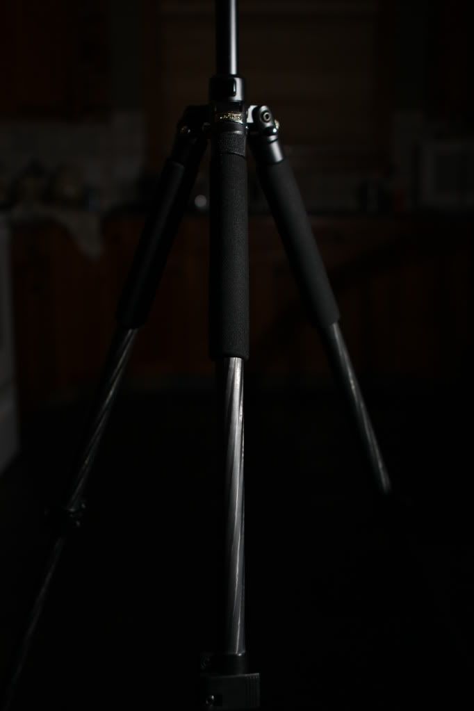 IMAGE: http://i47.photobucket.com/albums/f184/frizz1/IMG_8756.jpg