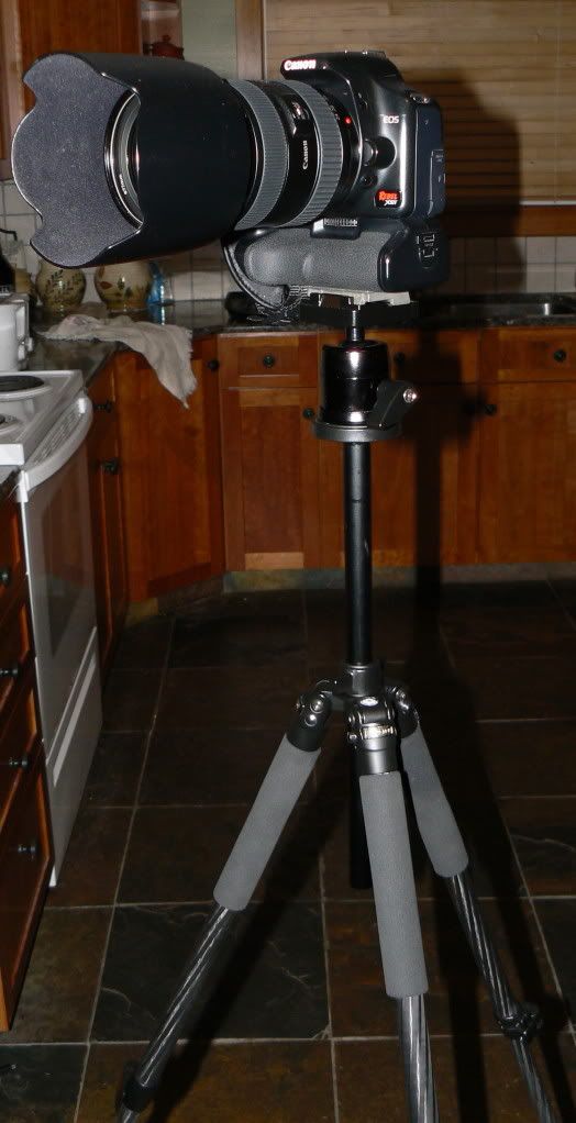 IMAGE: http://i47.photobucket.com/albums/f184/frizz1/P1030070.jpg