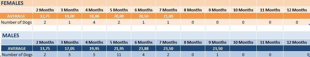 German-Shepherd-Height-Chart Height Growth Chart - Page 5 - German Shepherd Dog Forums