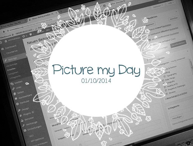 Picture my Day 2014