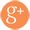 Google+ icon