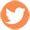 Twitter icon