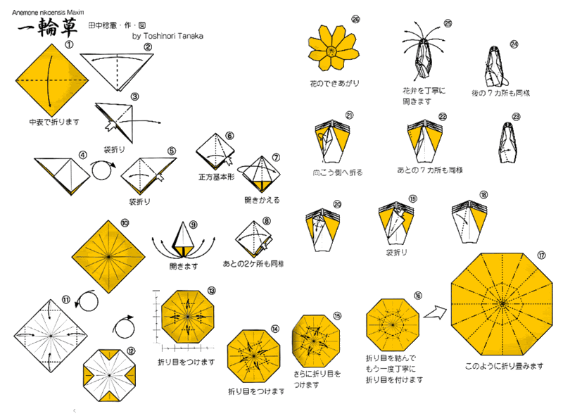 Anemone diagram