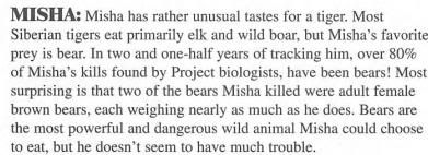 http://i47.photobucket.com/albums/f189/01978/animalinfo/misha-bear-killer.jpg