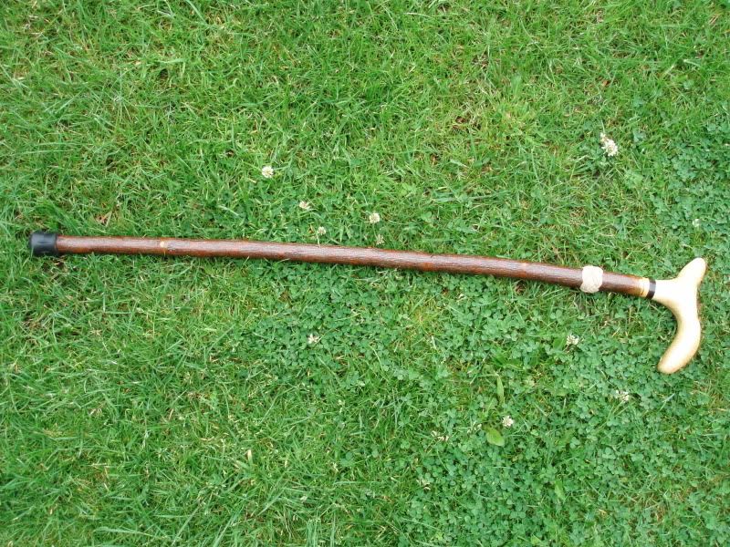 WalkingStick001.jpg