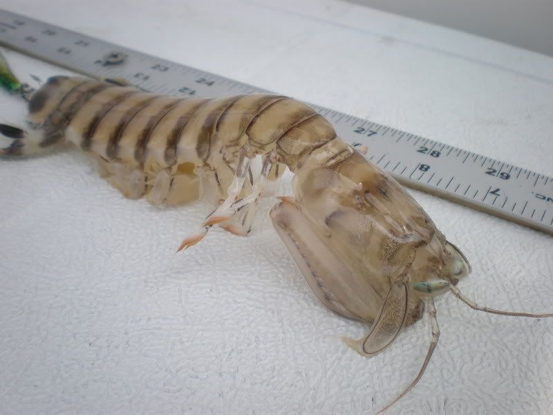 fishingtrip014.jpg